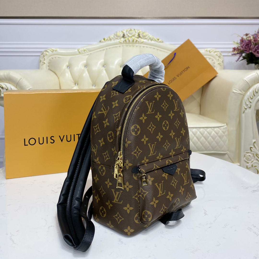 Louis Vuitton PALM SPRINGS MINI Backpack Monogram M44873